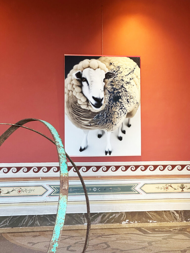 dolly at Verso La Luce